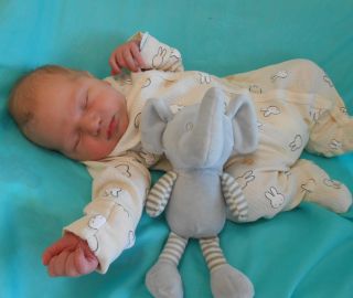 7.5. 4240g/52cm