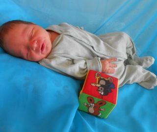 7.6. 3850g/51cm