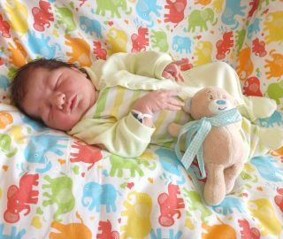 1.4. 4520g/52cm
