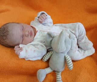 10.4. 3170g/50cm