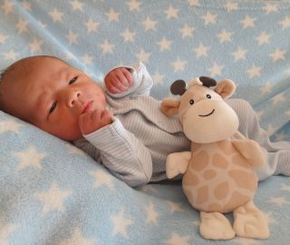 20.4. 3140g/49cm