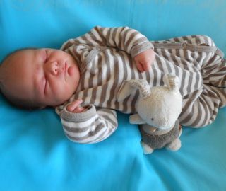4.5. 4060g / 52cm