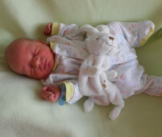 6.5. 3230g / 49cm